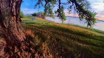 insta360 GO2 CPL Filter 50FPS | FPV Cinefreestyle