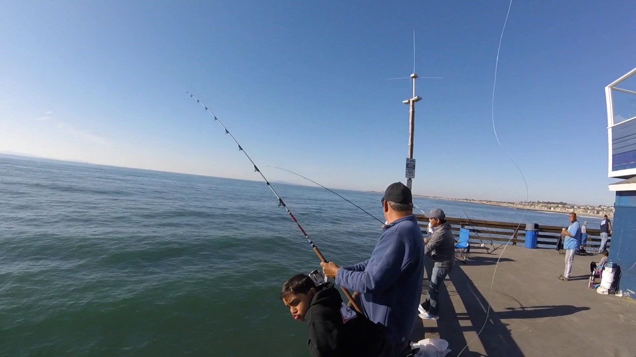 fishing newport pier YouTube