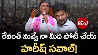 Revanth Reddy Challenged by Harish Rao : రేవంత్…నువ్వే నా మీద పోటీ చేయ్!హరీష్ రావు సవాల్| Bird Media