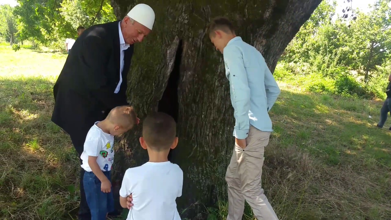 L delija.Lisi i llokmes ne fsh Palabardh  35o vjeqar