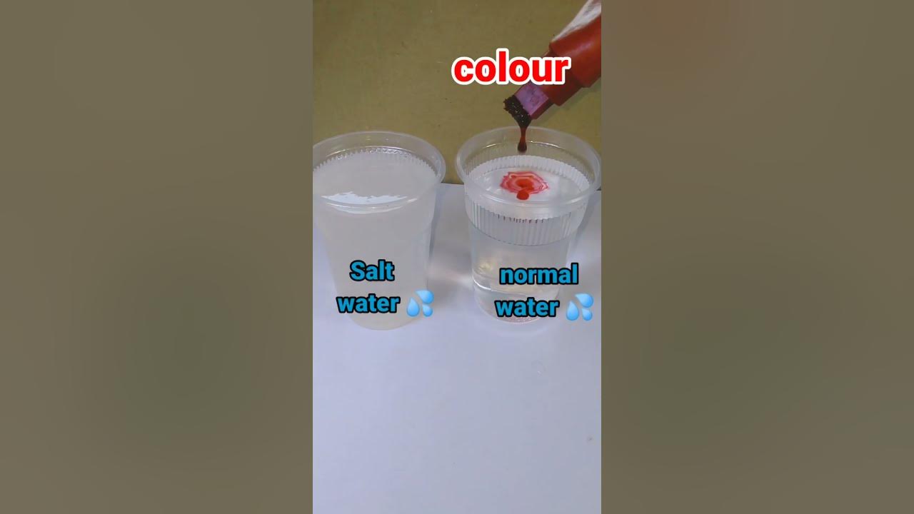 New science experiment with salt and water do at home very early