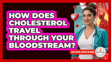 How Does Cholesterol Travel Through Your Bloodstream? - Cholesterol Support Network