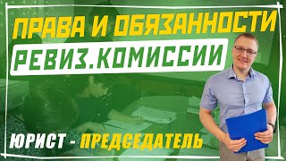 Ревизионная комиссия в СНТ: права, обязанности, полномочия