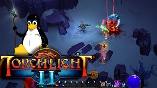 Celebrity [LinuxPlaying] Torchlight 2 ( Native ) Wealth