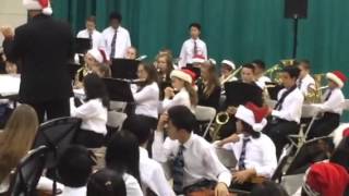 Ylms Performing Band 12915