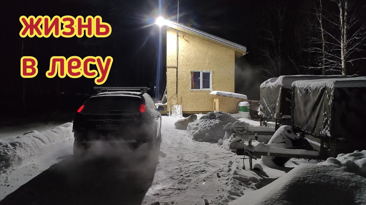 Живём в лесу в своей будущей баньке/будем висеть вниз головой/купили ...