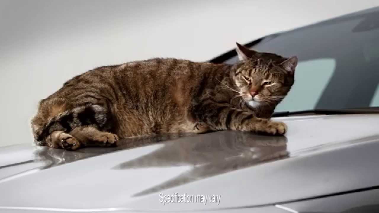 Mercedes Benz Cla >> The Mercedes-Benz CLA, a car with cat-titude | Mercedes-Benz Cars UK - YouTube Mercedes Benz Cla >> The Mercedes-Benz CLA, a car with cat-titude | Mercedes-Benz Cars UK - YouTube