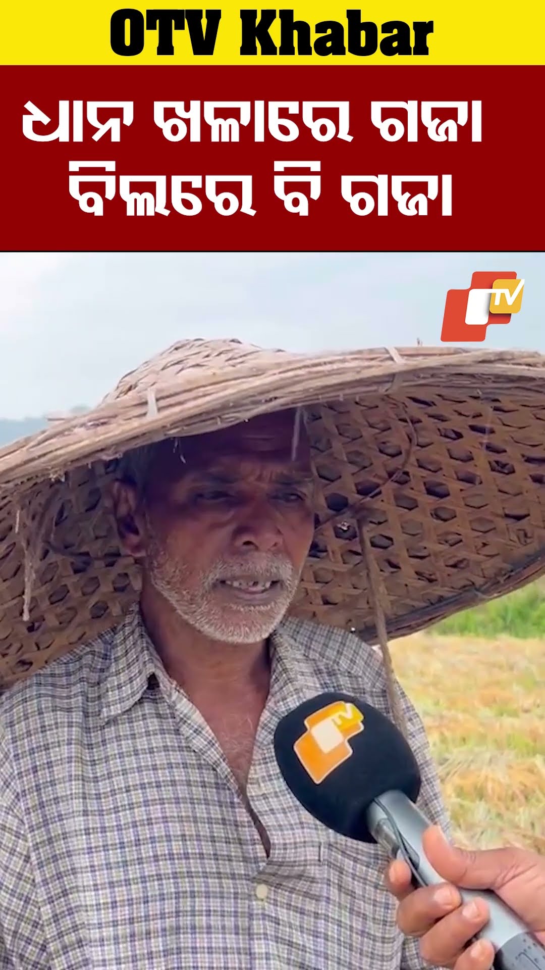 ଧାନ ଖଳାରେ ବି ଗଜା, ବିଲରେ ବି ଗଜା