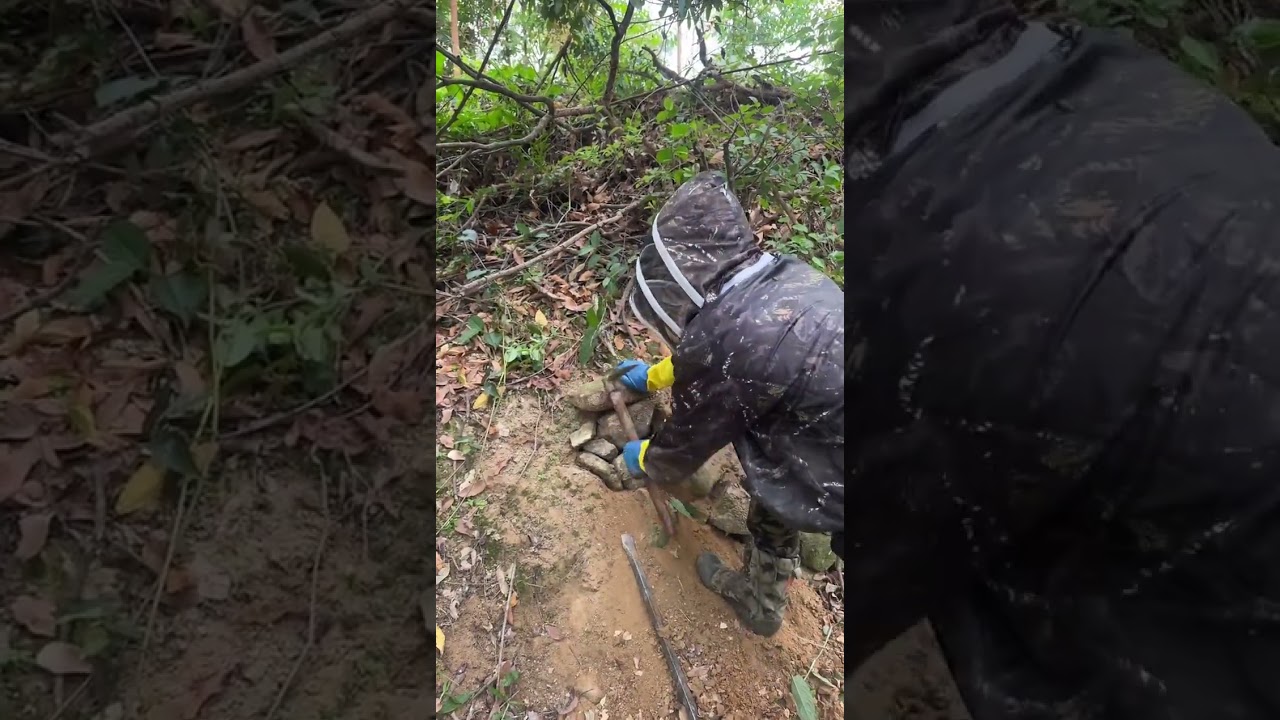 little red riding hood