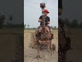 Scrap metal bird 🔥 Amazing creativity 😲 #MechanicalBird #ScrapArt #ViralShorts #Trending #shorts