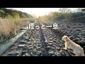 保護犬たちを支えた愛犬と、少し休みに行きました。