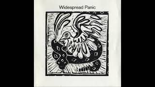 Widespread Panic - Weight of the World  432Hz  HD  (lyrics in description)