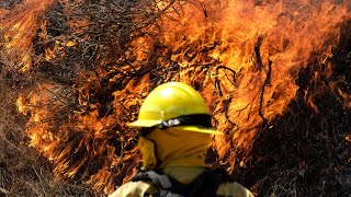 At least one home and two outbuildings were destroyed by the apple
fire, region's first major wildfire of season.
https://abc7.com/6350396