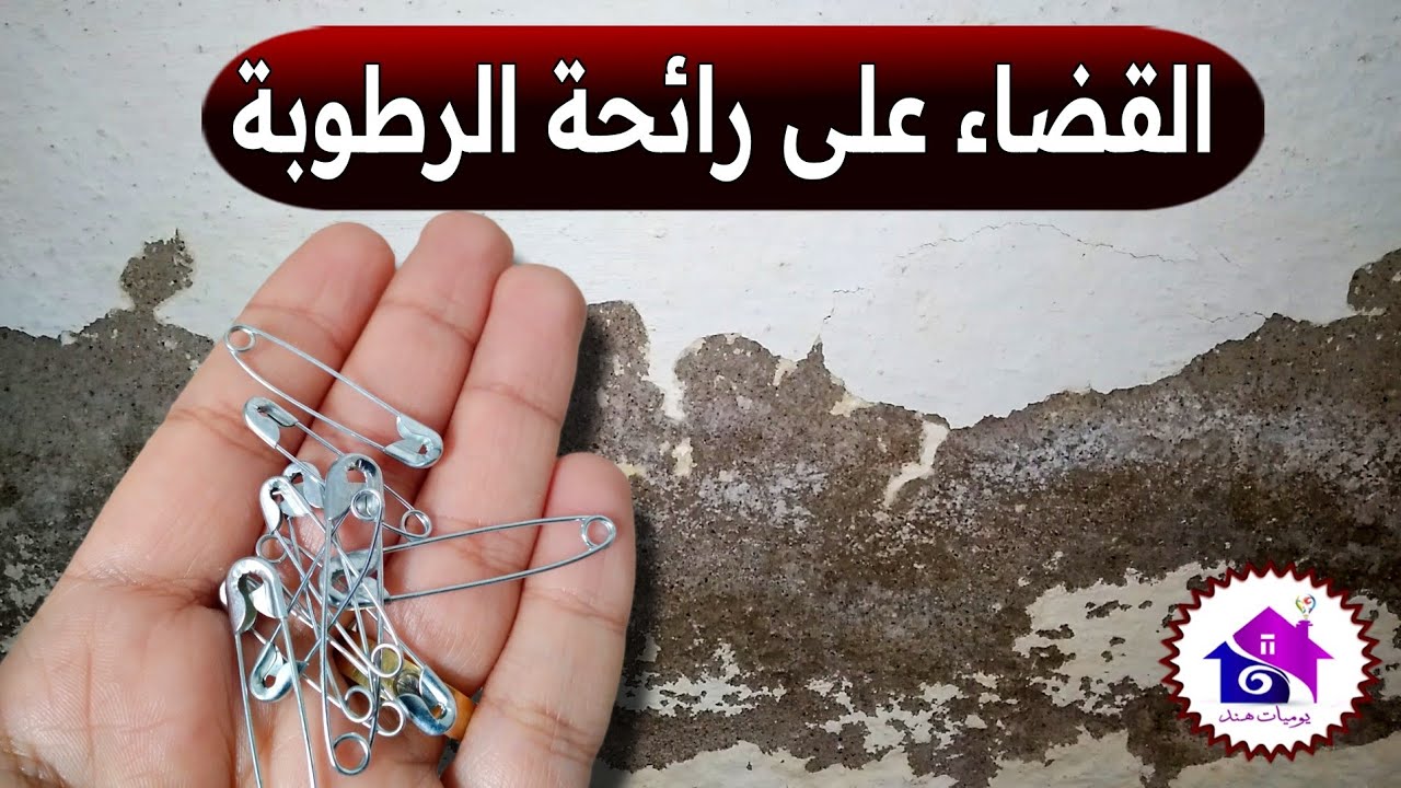 وداعا رائحة الرطوبة ♻️ تدابير منزلية للقضاء على رائحة الغمولية في المنزل بدون مجهود