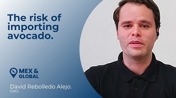 Does importing avocado is risky?