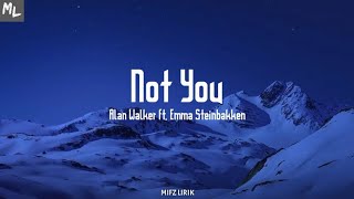 Alan Walker  Not You Feat Emma Steinbakken   photobook With My Mistakes