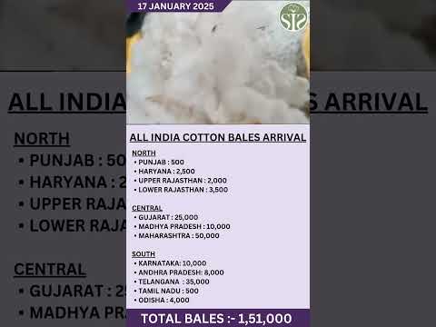 17/01/2025 सम्पूर्ण भारत की कपास की आवक || All India cotton arrival today #kapas #arrival #cotton