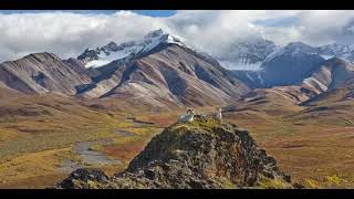 Summer in Denali