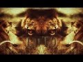 Monsta - Luto