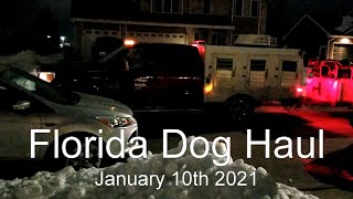 Florida Dog Haul by Greyt Show 3,392 views 3 years ago 4 minutes, 36 seconds