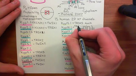 The Two Pore Domain Potassium Channels Part 5