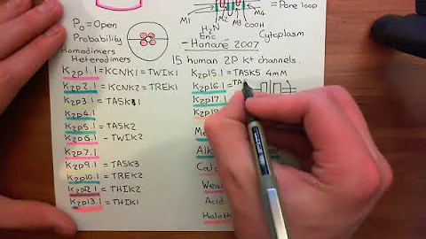 The Two Pore Domain Potassium Channels Part 5