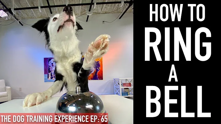 Potty Training: How to Train Your Dog to Ring a Be...