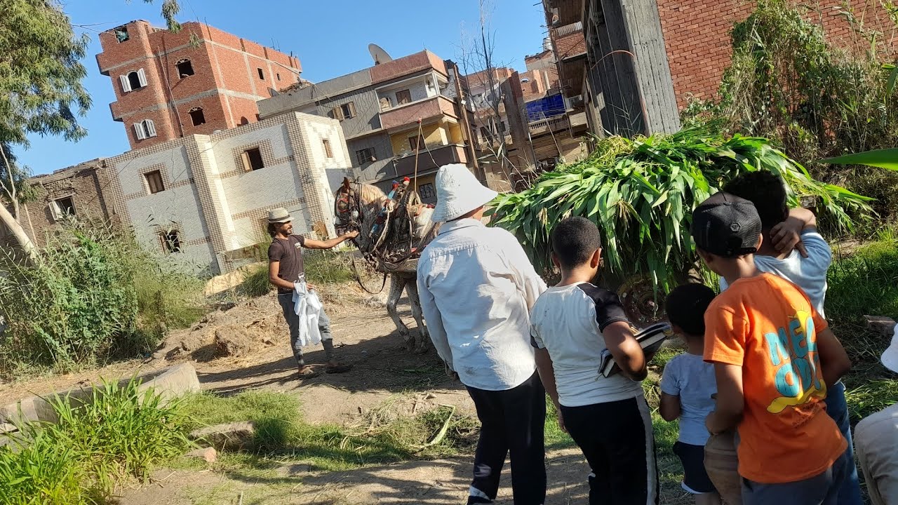 لما تفتح محل دره مقلي 😱🤣