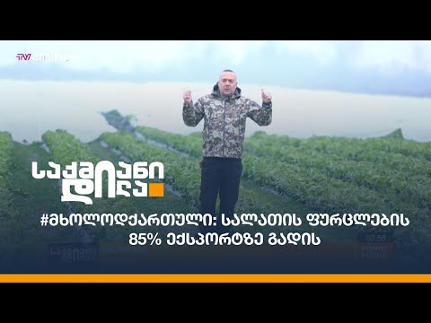 #მხოლოდქართული: სალათის ფურცლების 85% ექსპორტზე გადის