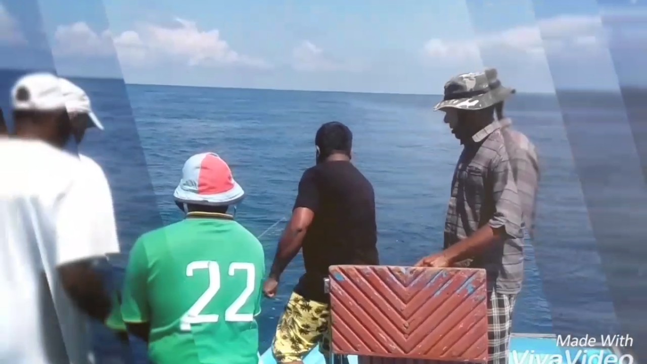 BIG GAME FISHING YouTube