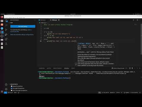 Python/Linux für Informatiker: Video 3 | Einfache Python Syntax (Variabeln, if, elif, else)