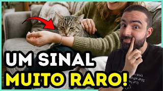 7 Sinais Que Seu Gato Te Marcou Como Alguém ESPECIAL!