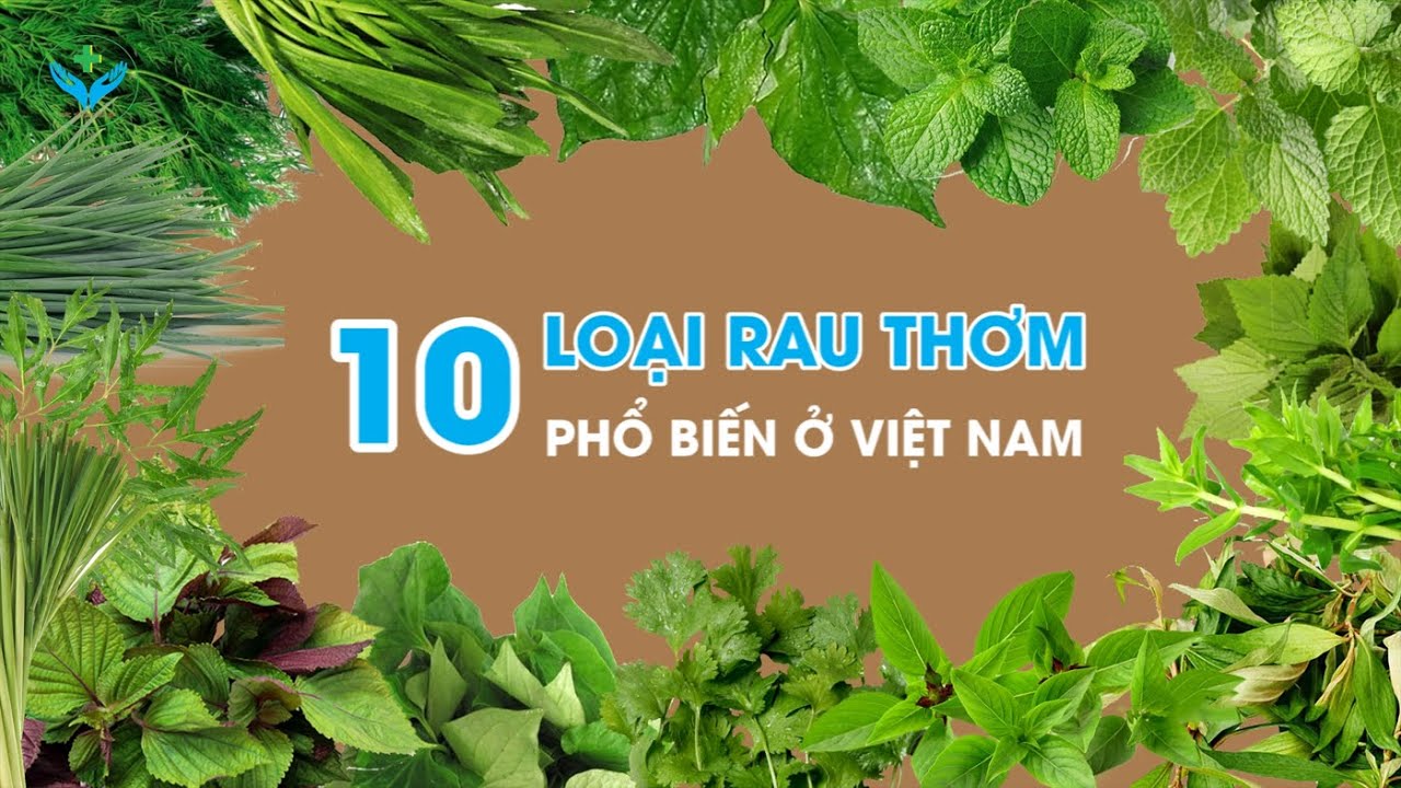 10 loại rau thơm phổ biến dễ trồng ở Việt Nam ︱Nông Sản ND - YouTube
