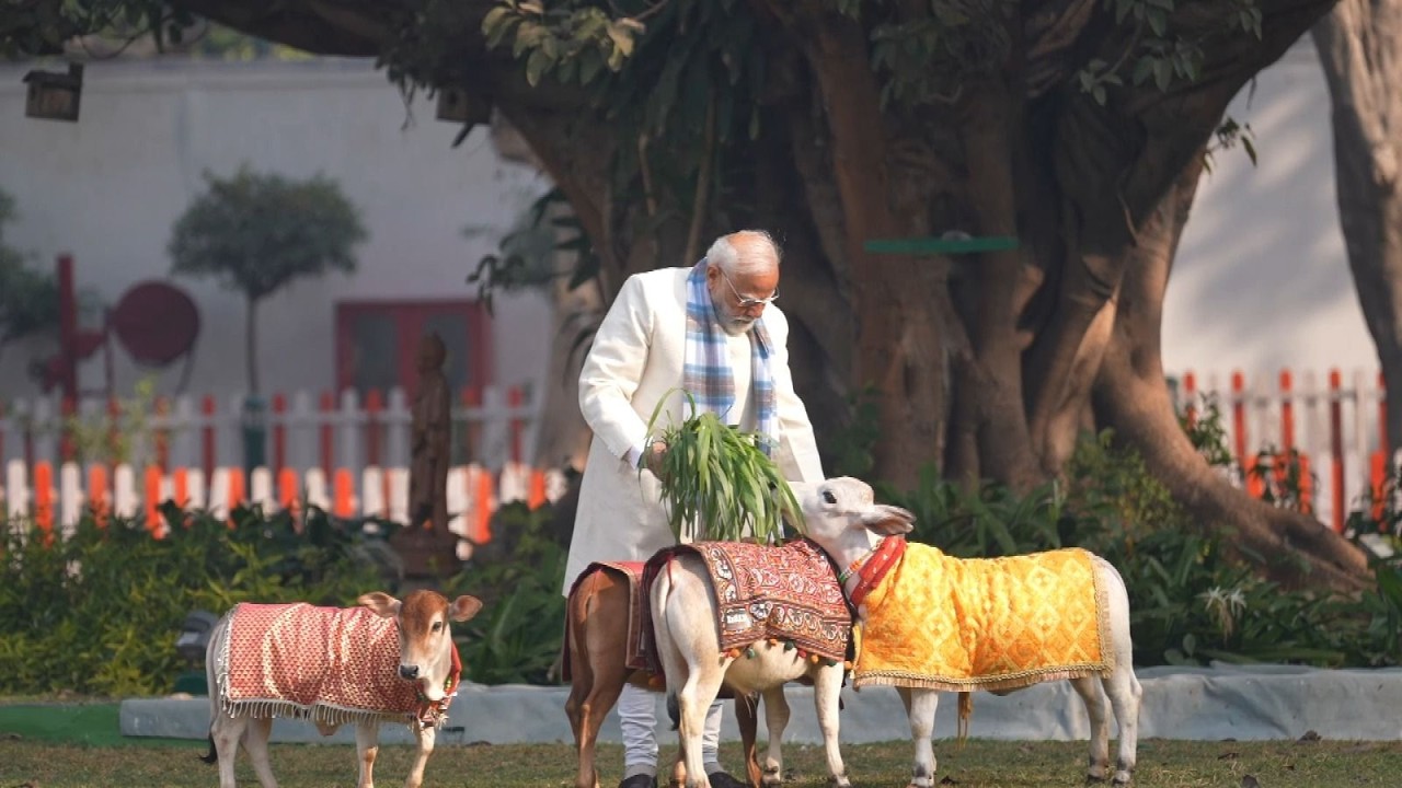 Adorable 😍... PM Modi’s bond with his cows as he feeds them on Sankranti
