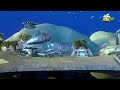 Spacetoon Planet Action 2025 الهوية المحسنة Spacetoon Planet Action 2025 الهوية المحسنة