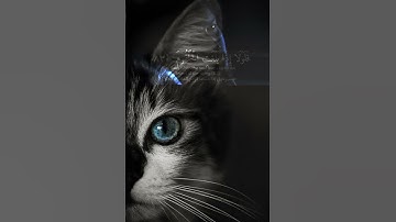 قرآن كريم ابات من سورة الواقعة ... تلاوة الشيخ ياسر الدوسري