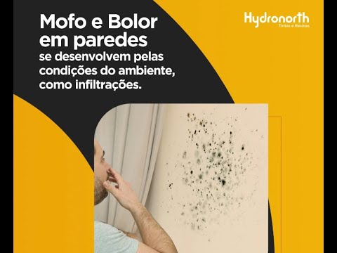 Diferença entre Mofo e Bolor - YouTube