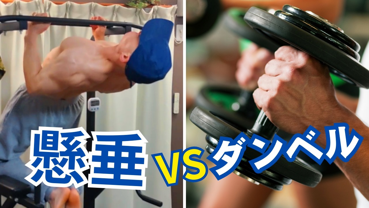 ベンチプレス、ダンベル、懸垂器 懸垂マシン ラック型 25段階調整 BIG3対応 耐荷重300kg ホームジム 365