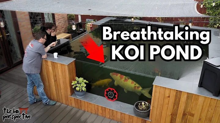 Garden Pond Tour 2025: What a Proper Koi Setup Looks Like