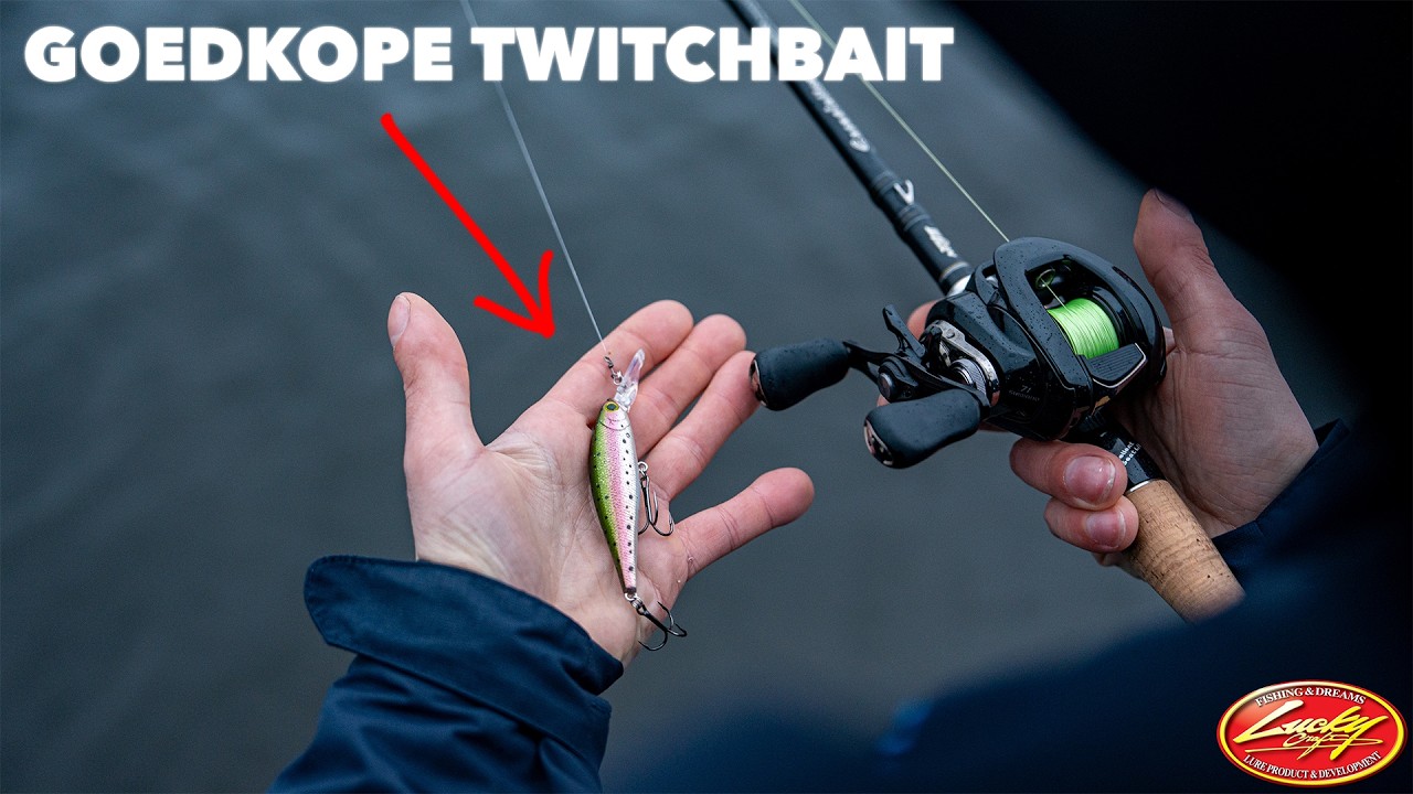 Vissen op BAARS met BETAALBARE TWITCHBAITS 💰