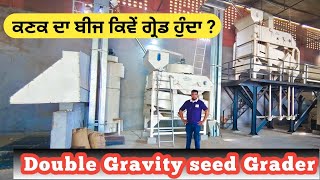 wheat seed Grader with Gravity at Supreme Breeder