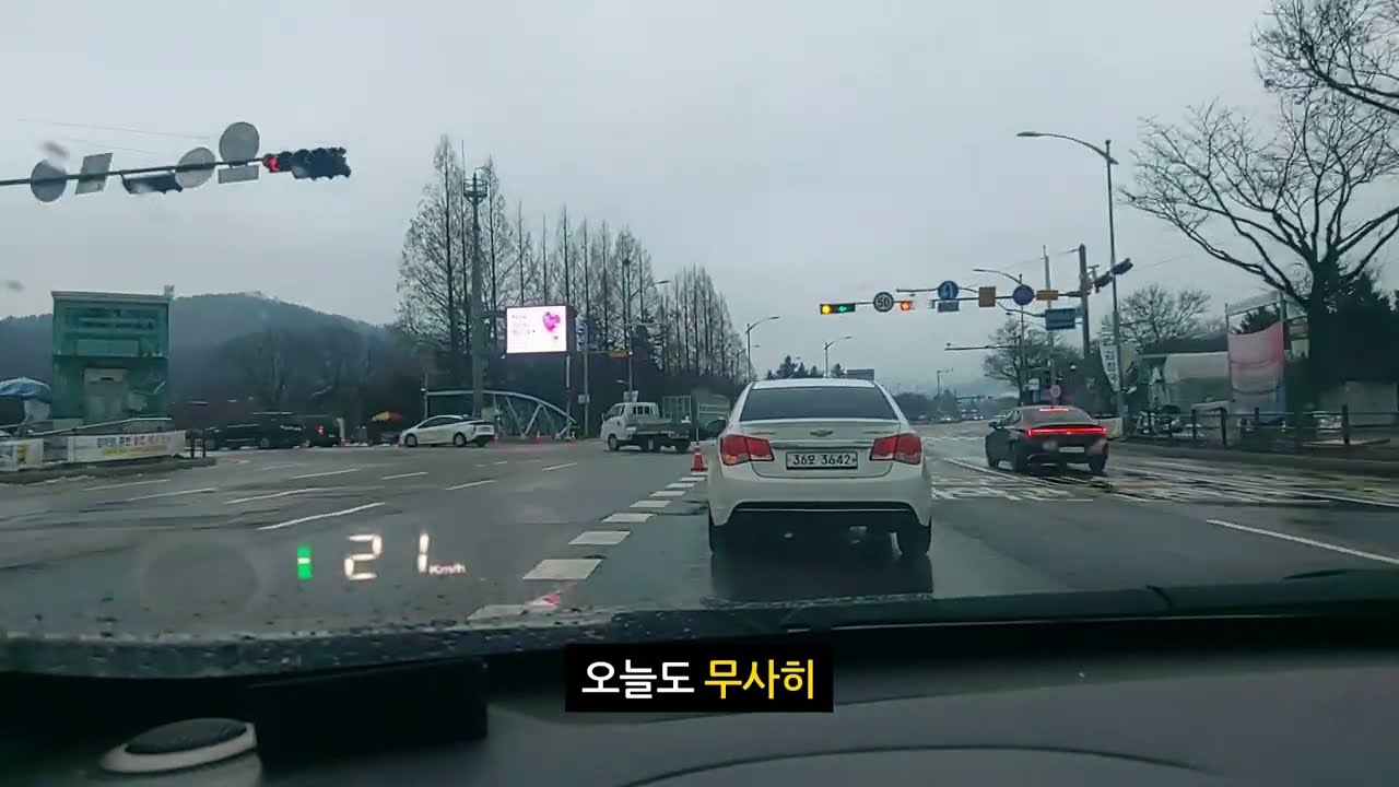 초보운전 과천 렛츠런파크 경마장 말밥 연승 복연승 복승 삼복승 기록 #2000