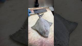 Black Pomfret Fish Cutting Skills