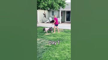 Day 1 to Day 77  Karis