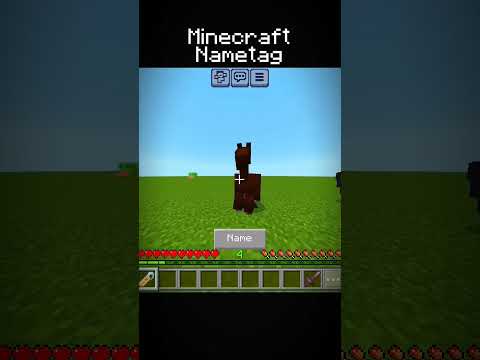 Minecraft nametag #minecraft