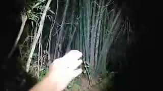 🔴Sendekala di ikuti yg mengerikan