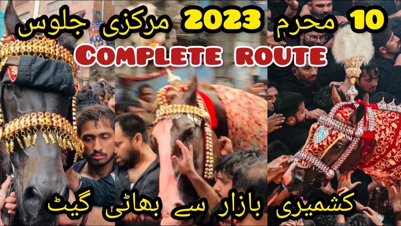10 muharram markazi ziarat zuljanah | katwali to bhatti gate |