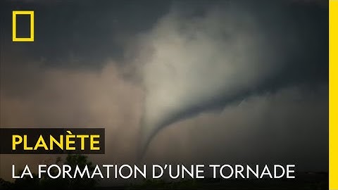 Images impressionnantes de la formation d