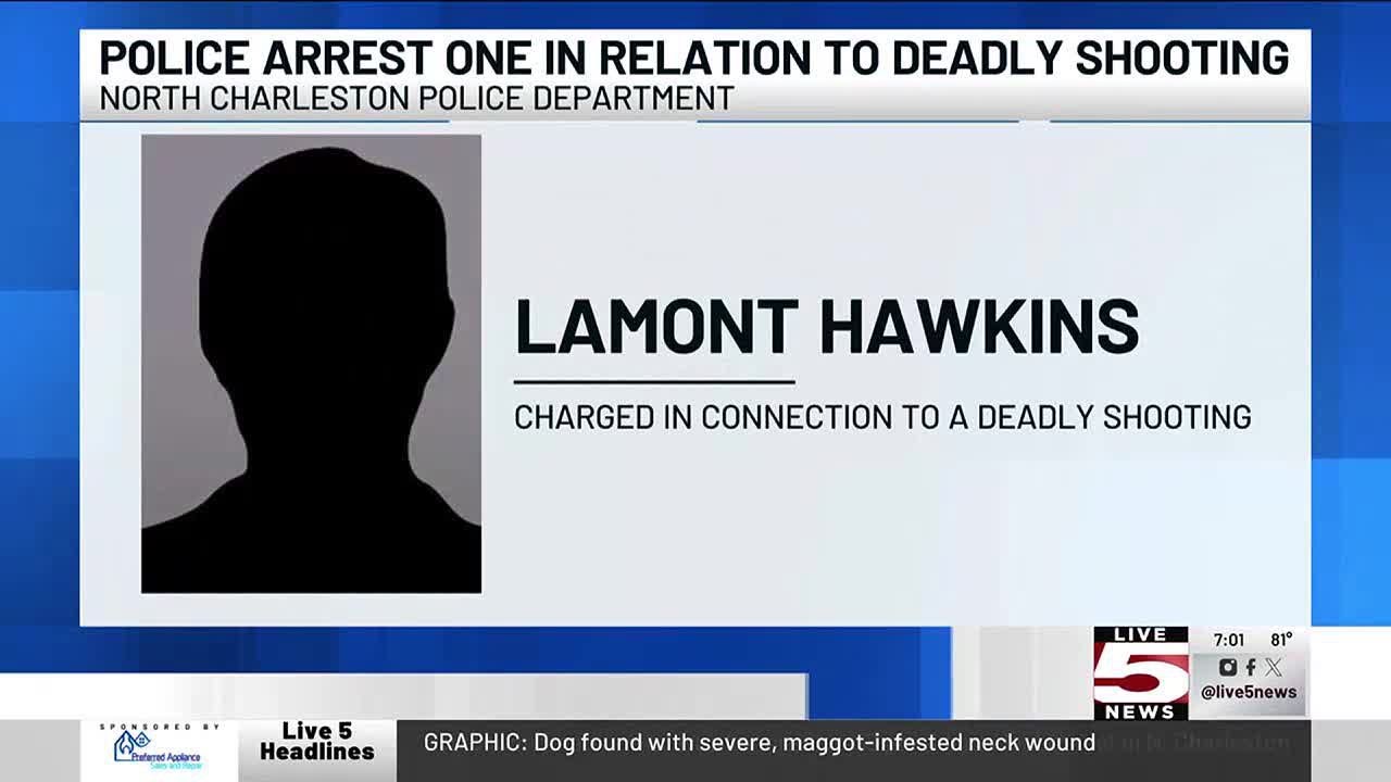 VIDEO: 17-year-old charged with murder in N. Charleton shooting - YouTube