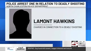 VIDEO: 17-year-old charged with murder in N. Charleton shooting